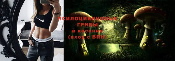 метадон Белокуриха