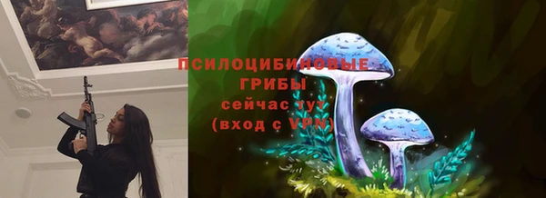 метадон Белокуриха