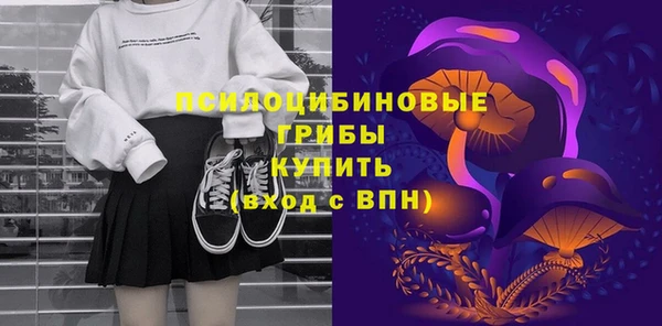метадон Белокуриха
