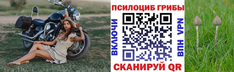 Галлюциногенные грибы Psilocybine cubensis  Оха 